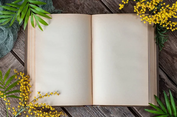 Eski ahşap masa üzerinde boş sayfaları ile kitap açıldı. Arka plan ima
