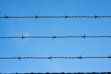 dikenli tel üzerinde gökyüzü günbatımı