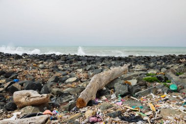 Büyük şehrin yakınındaki plaja çöp döktü. Kullanılmış kirli plastik şişeler ve diğer çöpler. Çevre kirliliği. Ekolojik sorun.