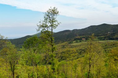 Toskana'da güzel bahar manzarası