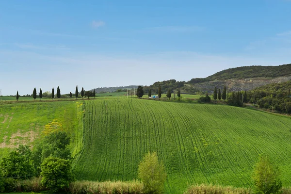Прекрасный весенний пейзаж Тосканы — стоковое фото