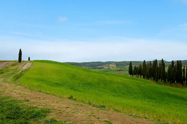 Prachtige lente minimalistisch landschap met groene heuvels in Toscane — Stockfoto