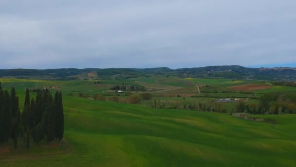 Tipiche colline di erba verde toscana. Aereo drone video girato . — Video Stock