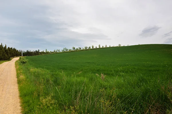 Carretera sinuosa en Tuscana, Italia —  Fotos de Stock