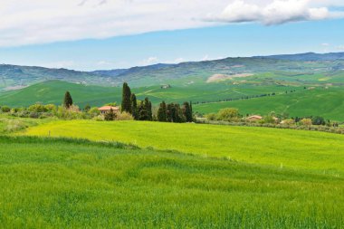 Toskana tepeleri ile güzel bahar manzara