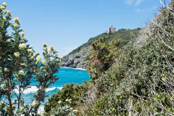 Hermoso mar azul y arbustos verdes con flores , —  Fotos de Stock