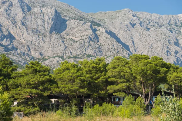 Parco naturale di montagna Biokovo e alberi della Riviera di Makarska, Dalmazia — Foto Stock