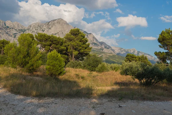 Biokovo Gebirge Naturpark und Bäume aus Makarska Riviera, Dalmatien — Stockfoto