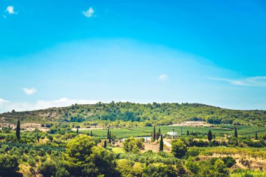 Dağların panoramik manzarası