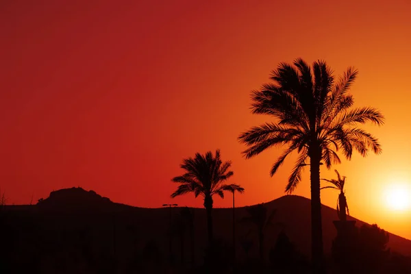 Андалузский закат с силуэтами пальм — стоковое фото