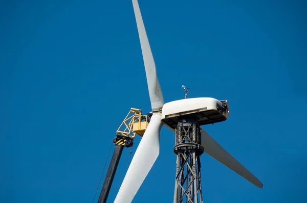 Man repairs windmill — Stock Photo, Image