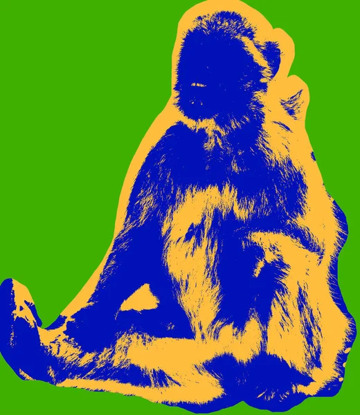 Opičí obraz přes zelenou — Stock fotografie
