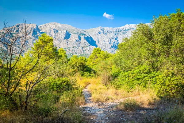 Biokovo Gebirge Naturpark und Bäume aus Makarska Riviera, Dalmatien — Stockfoto