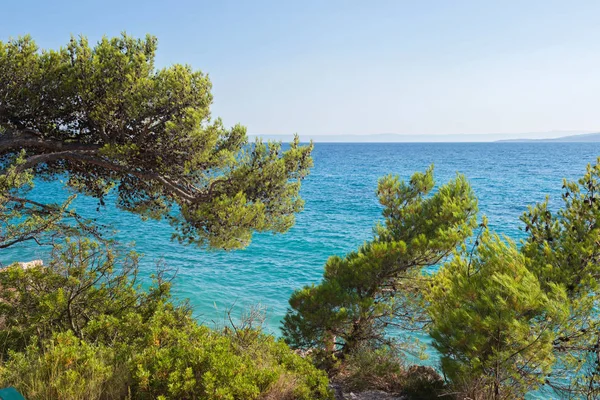 Praia na costa croata, mar azul — Fotografia de Stock