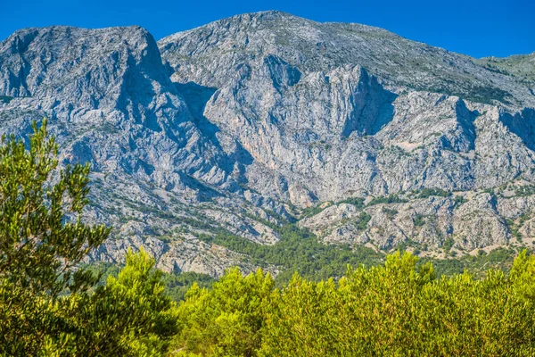 Biokovo Gebirge Naturpark und Bäume aus Makarska Riviera, Dalmatien — Stockfoto