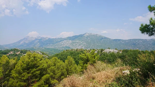 Górski Park Przyrody Biokovo i drzewa z Riwiery Makarskiej, Dalmacja — Zdjęcie stockowe