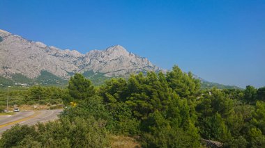 Biokovo dağ doğa parkı ve Makarska Riviera, Dalmaçya gelen ağaçlar