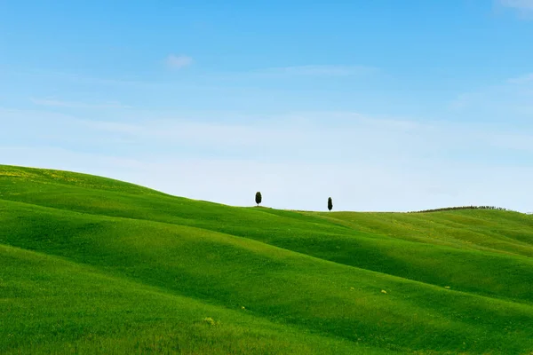 Όμορφο ανοιξιάτικο μινιμαλιστικό τοπίο με καταπράσινους λόφους στην Τοσκάνη — Φωτογραφία Αρχείου
