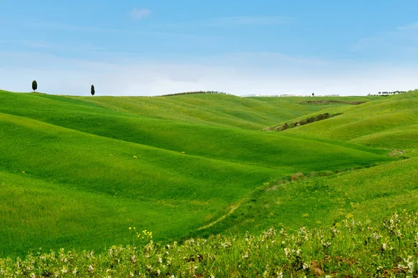 トスカーナの緑の丘と美しい春のミニマルな風景 — ストック写真