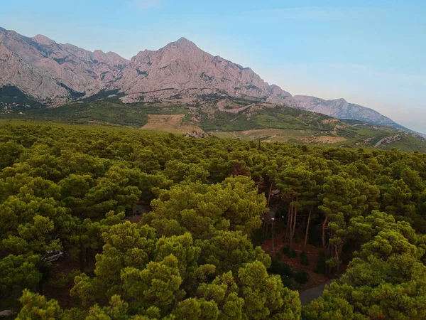 Una vista aerea dal drone agli alberi e alle montagne — Foto Stock