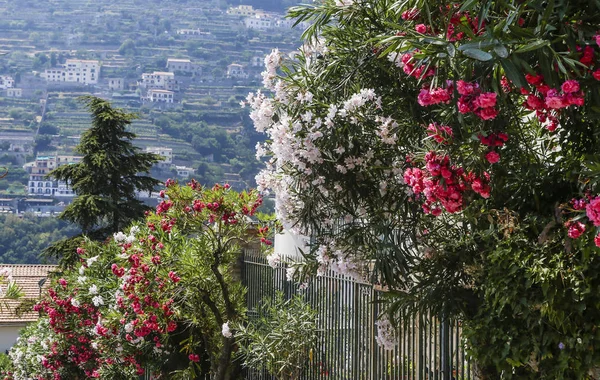 Улица Ravello Amalfi Coast Italy Europe — стоковое фото