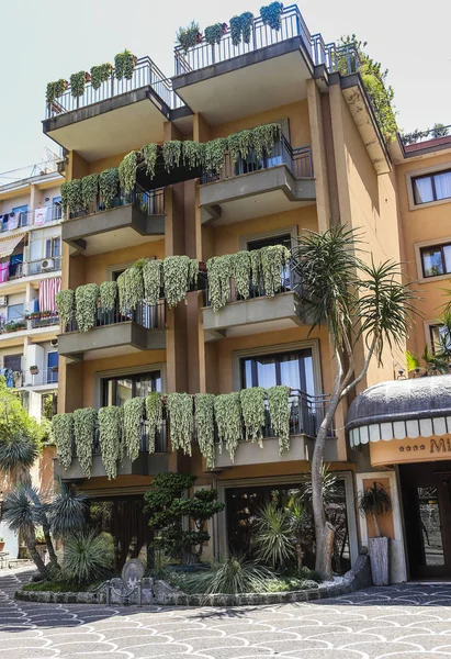 Sorrento Włochy Lipca 2017 Sedum Pachyphyllum Soczyste Rośliny Balkon Dom — Zdjęcie stockowe