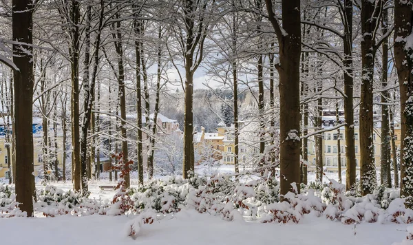 Czech Republic Marianske Lazne Gennaio 2018 Famosa Località Termale Marianske — Foto Stock