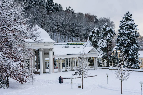 겨울에 Rudolf Pramen 이드입니다 Marianske Lazne Marienbad Republic Winter — 스톡 사진