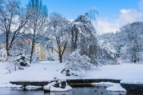 Híres Fürdővárosban Marianske Lazne Téli Időben Cseh Köztársaságban — Stock Fotó