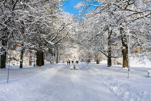 Tsjechië Marianske Lazne Januari 2018 Winter Central Park Marianske Lazne — Stockfoto