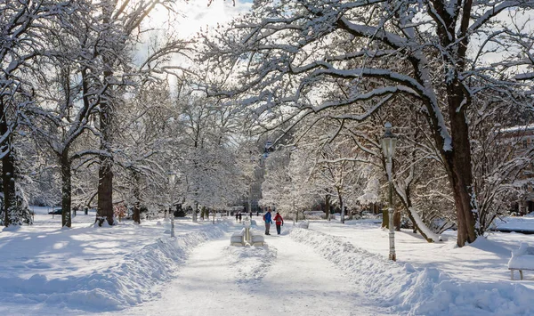 Tsjechië Marianske Lazne Januari 2018 Winter Central Park Marianske Lazne — Stockfoto