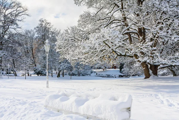 Téli Central Park Marianske Lazne Marienbad Nagy Híres Bohém Fürdővárosban — Stock Fotó
