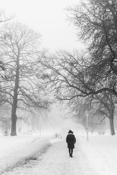 Winter Central Park Marianske Lazne Marienbad Grote Beroemde Boheemse Kuuroord — Stockfoto