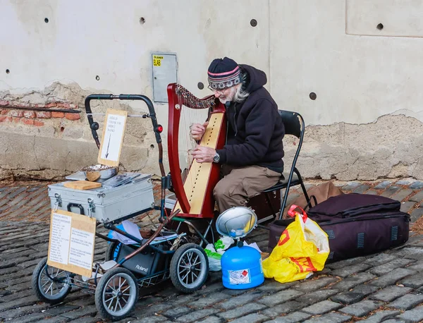 Prague Castle adlı bir harp oynarken müzisyen kapatın. Çek Cumhuriyeti.