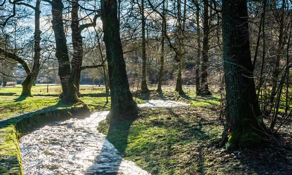 Inverno Parque Marianske Lazne Marienbad Grande Cidade Famosa Spa Boêmio — Fotografia de Stock