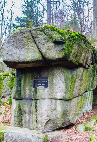 Friedrich Stone Friedrichstein Com Uma Placa Memorial Memória Rei Saxônia — Fotografia de Stock