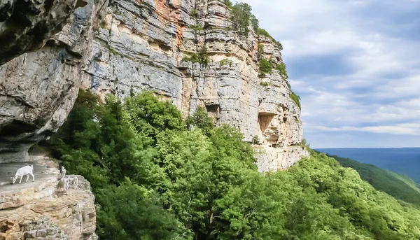 Skalnatá Stěna Jako Útes Zvaná Orlí Šelf Mezmay Krasnodarská Oblast — Stock fotografie