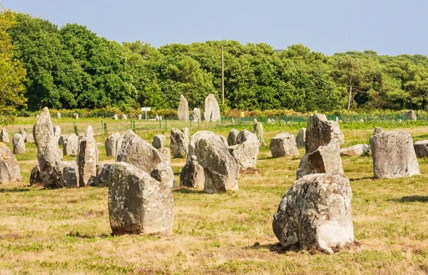 Carnac, Brittany, Fransa ayakta taşlar hizalama, Menhirs, güzel görünümü. Megalithic dönüm noktası