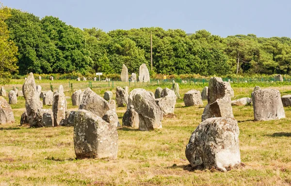 Piękny Widok Stałe Wyrównanie Kamieni Menhirs Carnac Bretania Francja Megalityczne — Zdjęcie stockowe