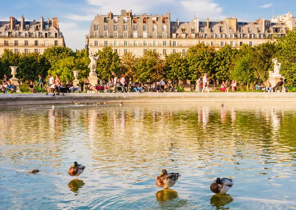 Paris Popüler Turistik Yerlerinden Biri Olan Tuileries Garden Daki Çeşmenin — Stok fotoğraf