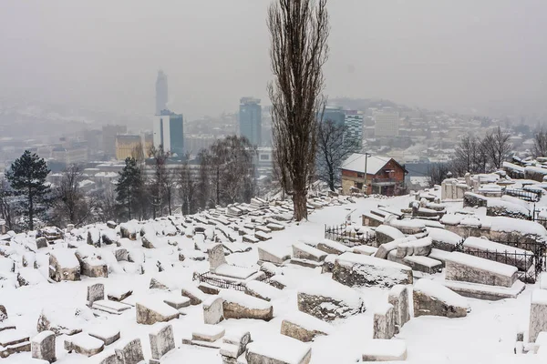 슬로프에 있는 오래된 유대인 묘지의 묘비 — 스톡 사진
