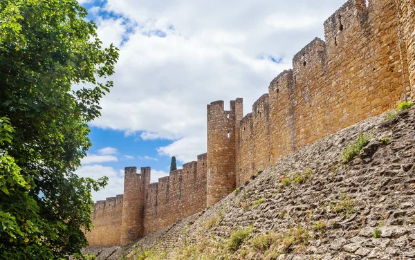 El muro del Convento de Cristo (Patrimonio de la Humanidad por la UNESCO), Toma — Foto de Stock