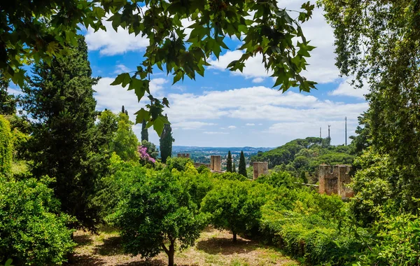 葡萄牙托马尔基督修道院的花园, — 图库照片