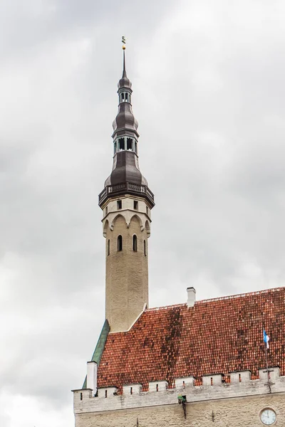 Tallinna Raekoda (Tallinn városháza) a Raekoja fennsíkon (Városháza) — Stock Fotó