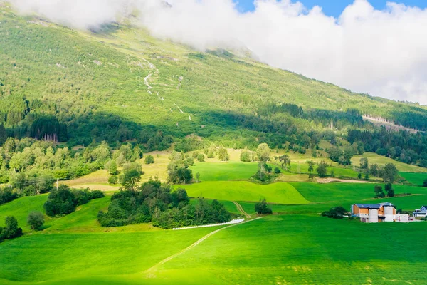 Olden, Norja, Norjan kylän tyypillinen kesäpanoraama — kuvapankkivalokuva