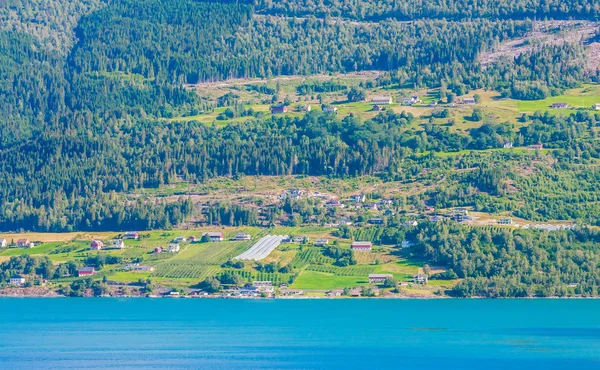 Olden, Noorwegen, typisch zomerpanorama van Noors dorpsland — Stockfoto