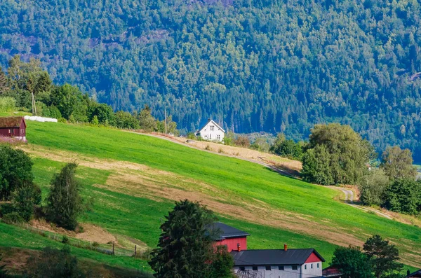 Kleine huisjes in Olden, Noorwegen.Olden is een dorp en stedelijk gebied — Stockfoto