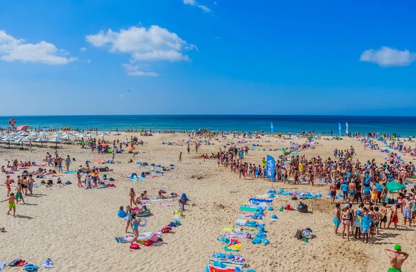 Okul Çocukları Grupları Okyanusta Yüzmeye Hazırlanıyorlar Carcavelos Sahili Portekiz — Stok fotoğraf