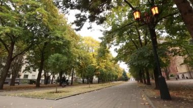 Stavropol, Rusya - Ekim 2017: Yaprak sonbaharda Sonbahar Park.
