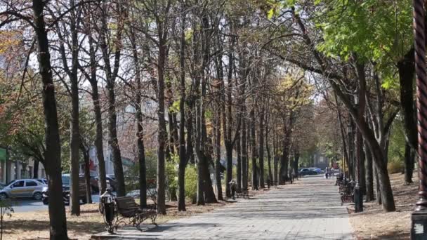 Stavropol, rue piétonne centrale. Russie . — Video